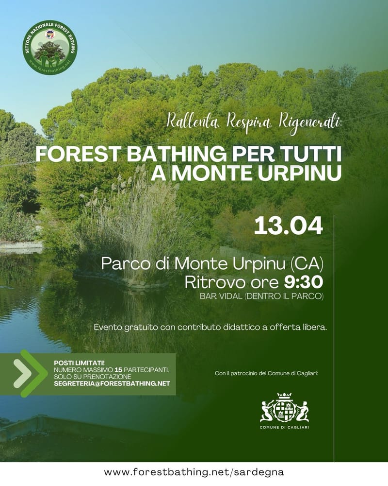 Arriva a Cagliari il Forest Bathing, pratica giapponese basata sul potere terapeutico del verde e degli alberi.